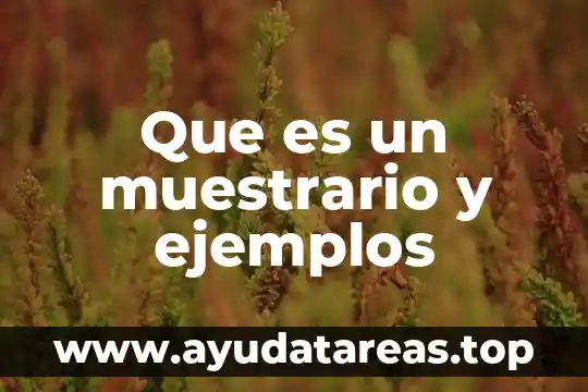 Que es un muestrario y ejemplos