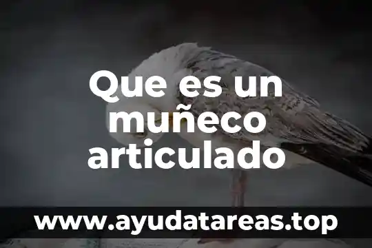Qué es un signo articulado 3 Que es un muñeco articulado