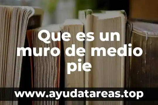 Que significa que es pie mexicano 3 Que es un muro de medio pie