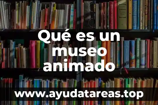 Que es medir animado 5 Qué es un museo animado