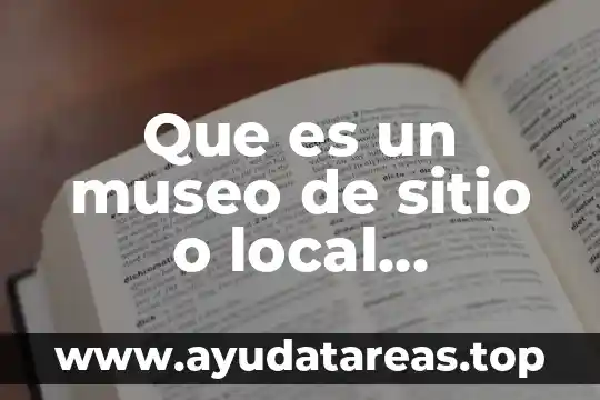 Que es el concepto de atencion 5 Que es un museo de sitio o local concepto