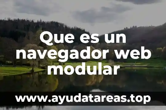 Que es un navegador web modular