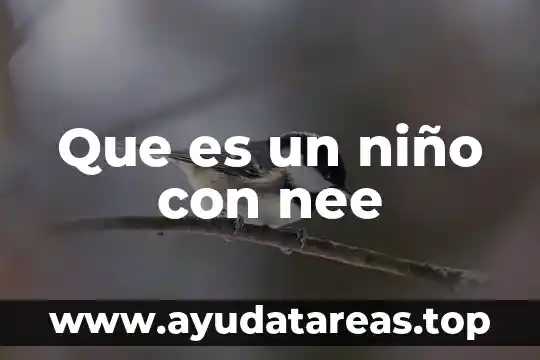 Que es niño estrella 4 Que es un niño con nee