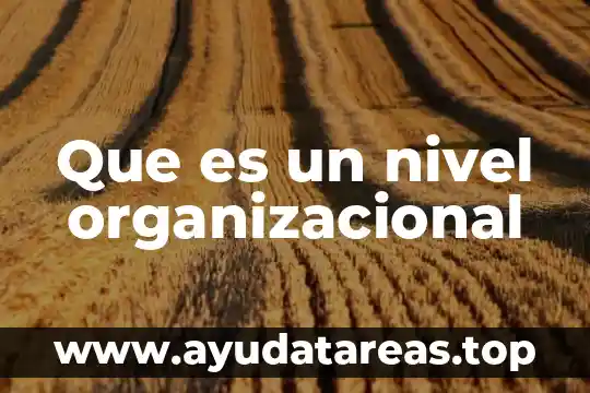 Que es un nivel organizacional