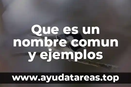 Qué es la destilación ejemplos 4 Que es un nombre comun y ejemplos