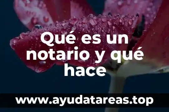 Que es la tabla de centroides inventor 6 Qué es un notario y qué hace