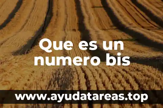 Que es un numero bis