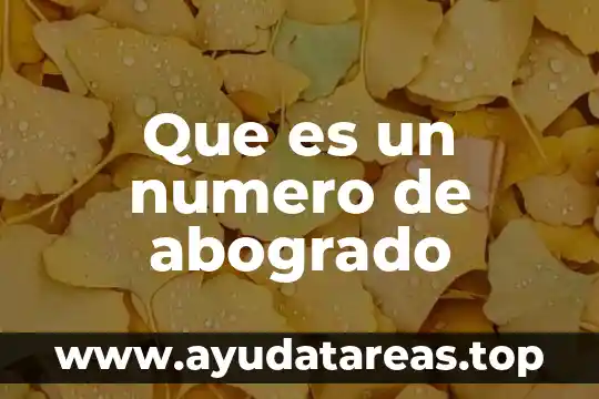 Número de municipio que es puerto vallarta 8 Que es un numero de abogrado