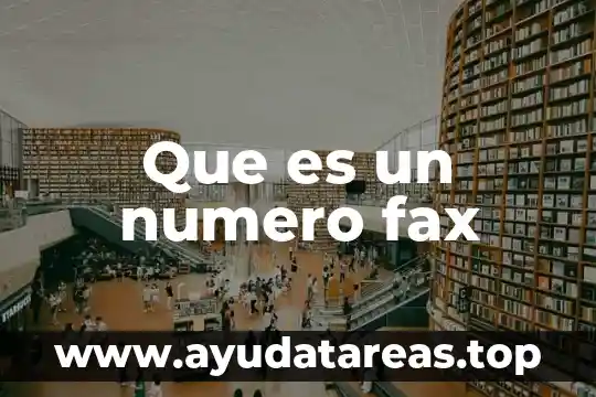 El número áureo 4 Que es un numero fax