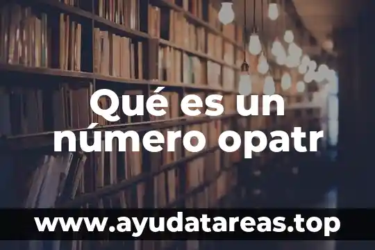 Que es del numero o relatvo a él 3 Qué es un número opatr