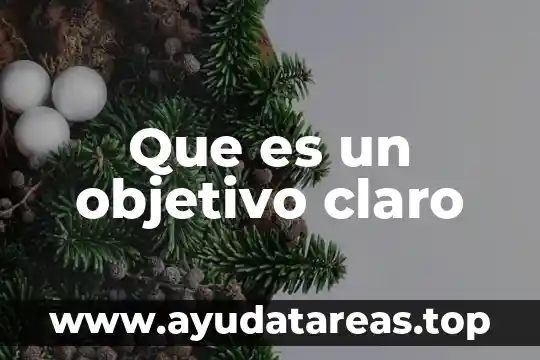 Que es un objetivo claro