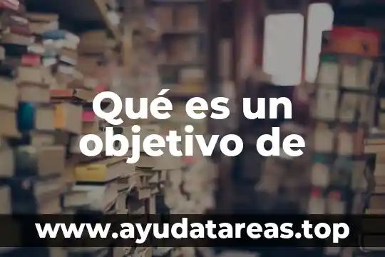 Qué es un objetivo de