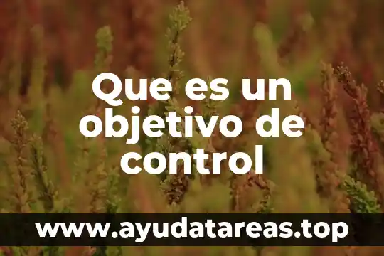 Que es un objetivo de control