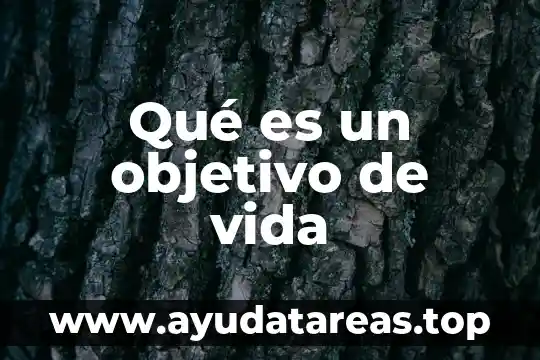 Qué es un objetivo de vida