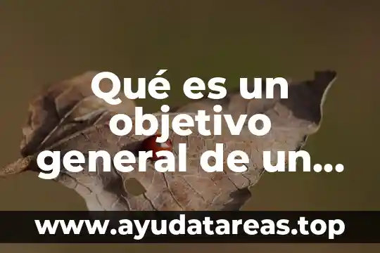 Qué es un objetivo general de un trabajo de investigación