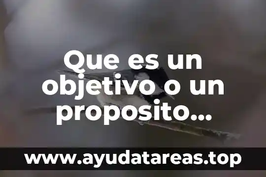 Que es softaculous educativo 7 Que es un objetivo o un proposito educativo