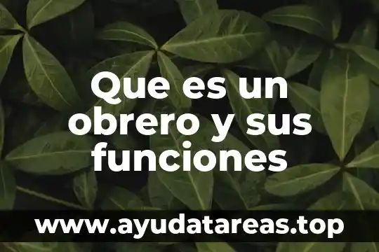 Que es un obrero y sus funciones