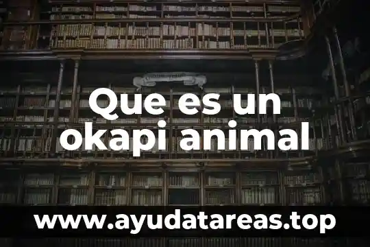 Animal cuts que es 5 Que es un okapi animal