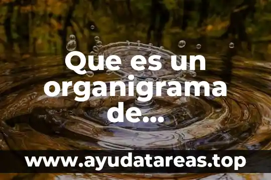 Qué es la estructura organizacional y organigrama diferencias 3 Que es un organigrama de administracion