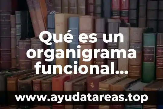 Qué es un organigrama funcional definición