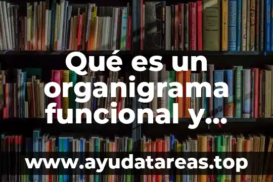 Qué es la estructura organizacional y organigrama diferencias 5 Qué es un organigrama funcional y como realizarlo