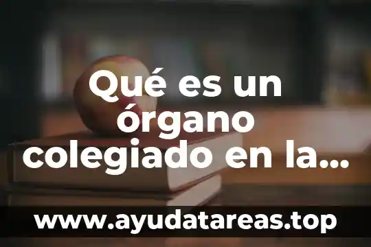 Qué es un órgano colegiado en la administración pública