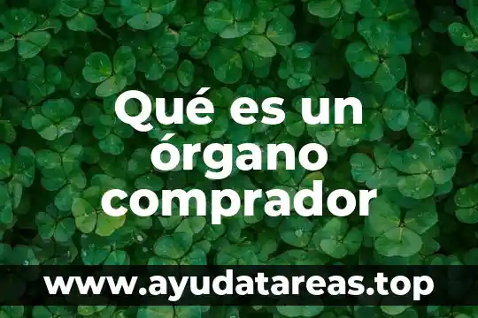 Qué es un órgano constituyente 7 Qué es un órgano comprador