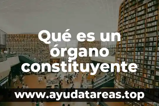 Qué es un órgano constituyente