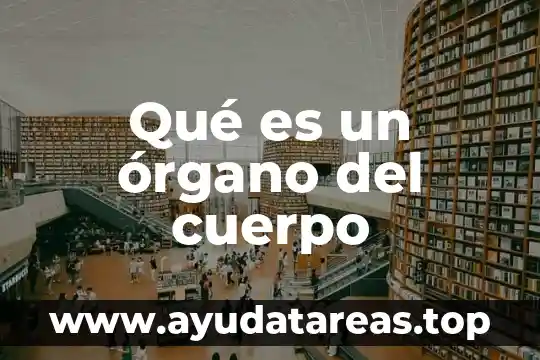 Que es lo que genera la contaminacion del agua 4 Qué es un órgano del cuerpo