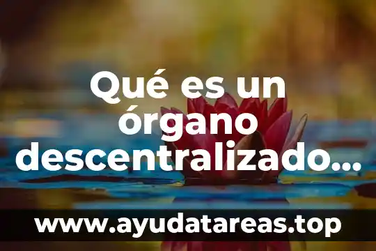 Qué es un órgano descentralizado ejemplos