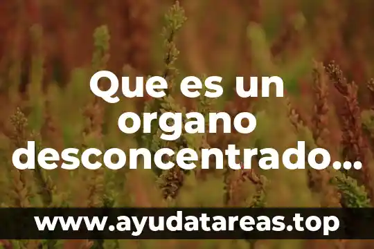 Que es la administracion de instituciones 5 Que es un organo desconcentrado de la administracion publica