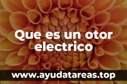 Que es un otor electrico