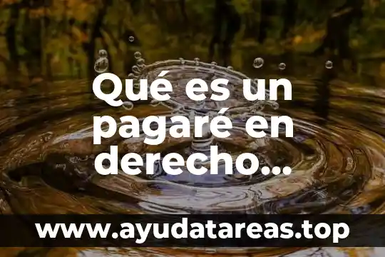 Que es descuento en libros derecho mercantil 7 Qué es un pagaré en derecho mercantil
