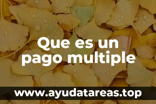 Que es un pago multiple