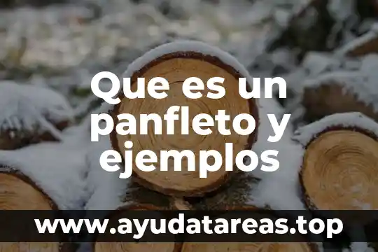 Que es un panfleto y ejemplos