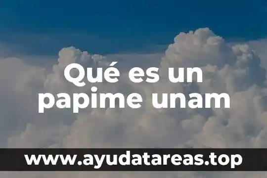 Qué es un papime unam