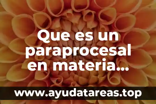 Qué es el catálogo de autoridad de materia 6 Que es un paraprocesal en materia laboral