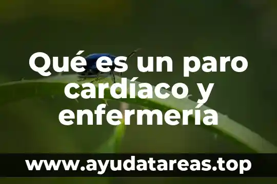 El ser en enfermería que es lo que es 7 Qué es un paro cardíaco y enfermería