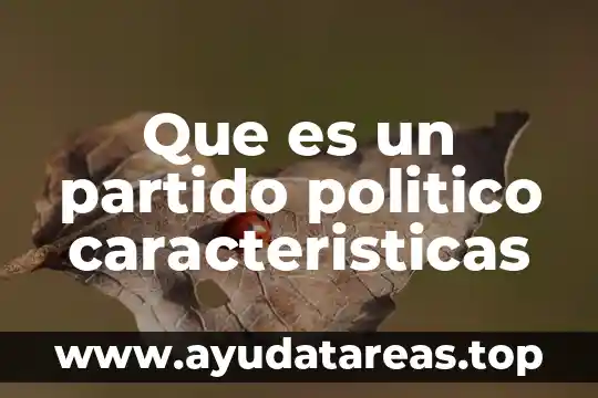 Que es un partido politico caracteristicas
