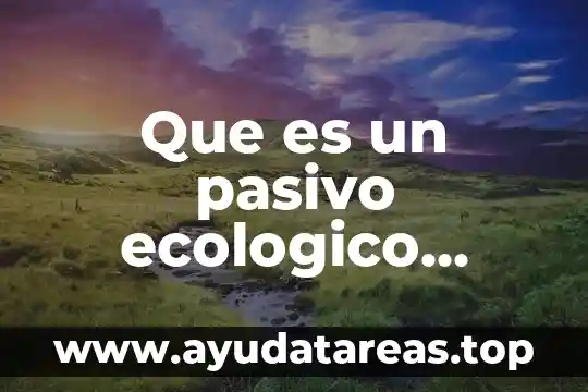 Que es un pasivo ecologico definicion