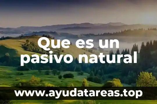 Que es un signo natural 8 Que es un pasivo natural