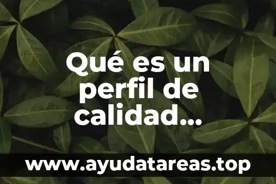 Que es manufactura concepto de 1780 3 Qué es un perfil de calidad concepto