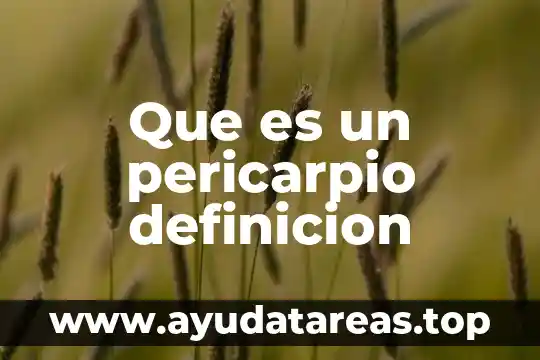 Qué es degollado definición 8 Que es un pericarpio definicion