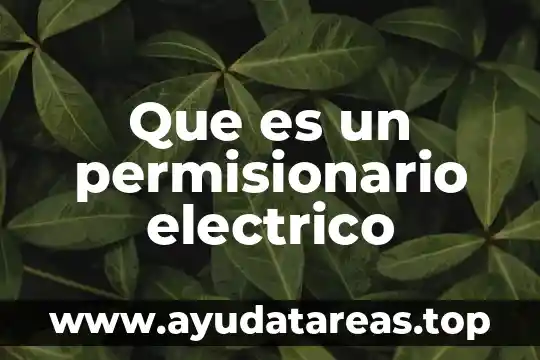 Que es un permisionario electrico