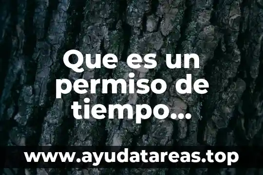 Que es el viaje en el tiempo 8 Que es un permiso de tiempo indefinido de moto