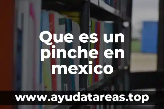 Que es un pinche en mexico