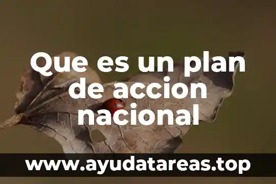Que es un plan de horizonte temporal 3 Que es un plan de accion nacional