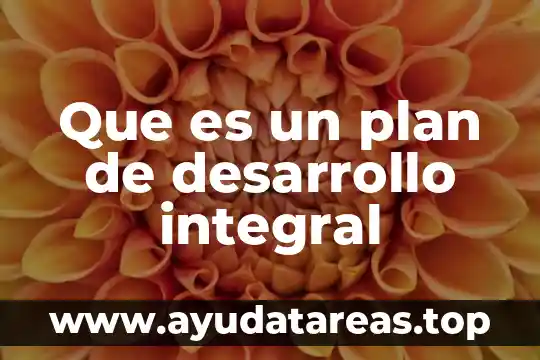 Que es un plan de desarrollo integral