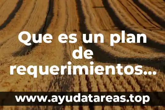 Que es un plan de horizonte temporal 6 Que es un plan de requerimientos brutos
