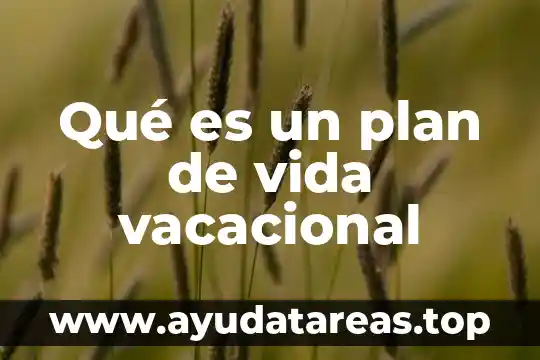 Que es ser un campeon en la vida 4 Qué es un plan de vida vacacional